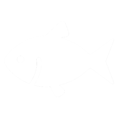 お魚紹介