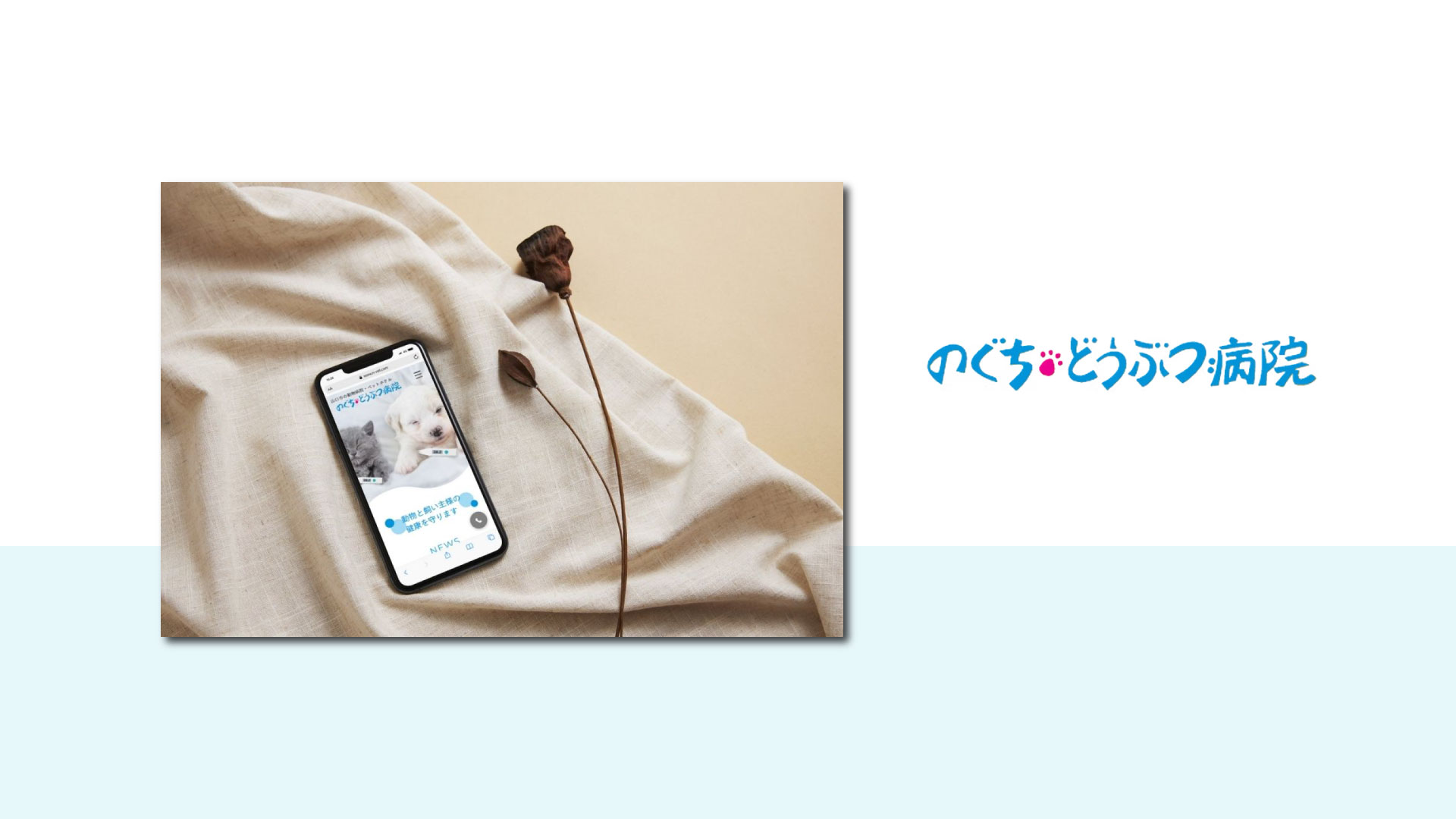 のぐちどうぶつ病院